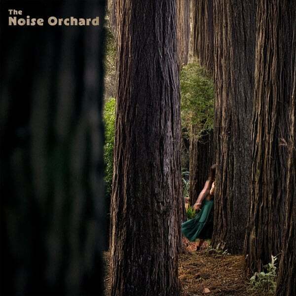 Cover art for The Noise Orchard